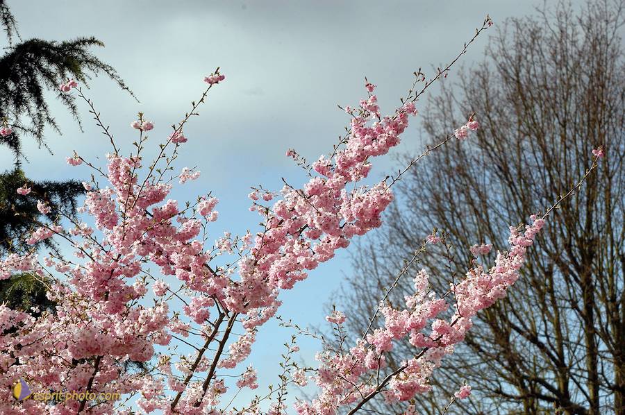 Nom de l'image : D1120233-01_(c)Norbert-JUNG — Description :  PËlerinage de Chartres 2004